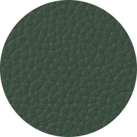 Dark Green Leather