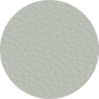 Silver Gray Leather