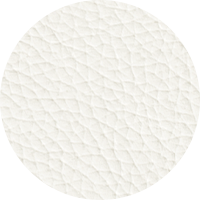 White Leather